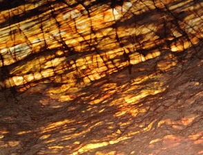 Gold Storm Quartzite